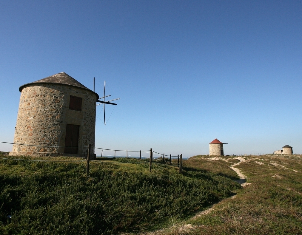 Ecoviapulia 1 1024 2500