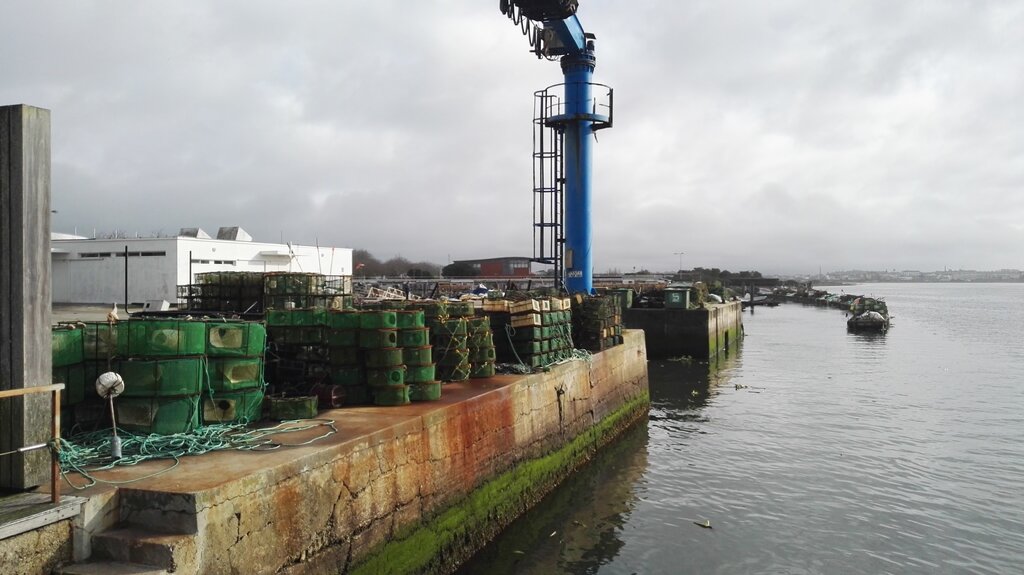 Doca esposende 1 1024 2500