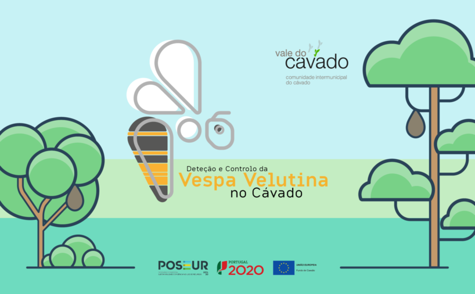 VespaVelutina_Banner-1024x634