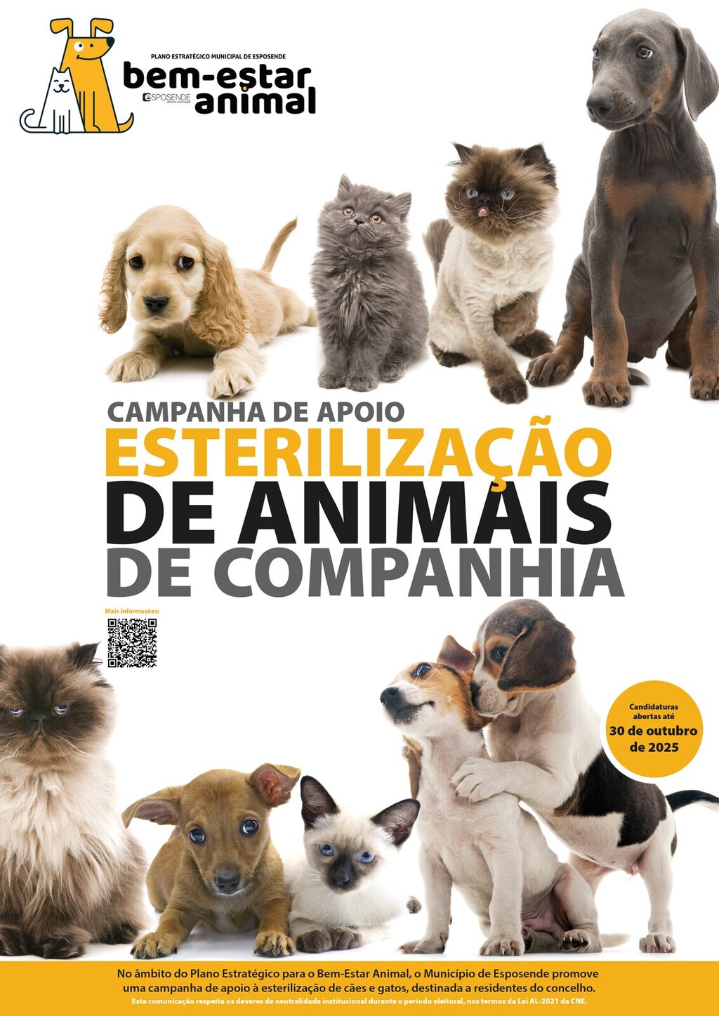 Esterilizacao_ANIMAISCOMPANHIA